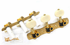 Gotoh 35G1800 Classical Guitar Tuning Machines on Decorative Plate in Solid Brass Finish (3+3)