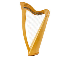 Harp Folk Harp 22 String Carved With Bag