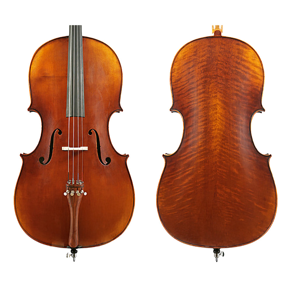 Raggetti RC6 (High Arch) Cello Only Distressed-4/4