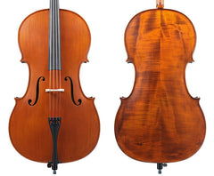Gliga II Cello Outfit - Standard 4/4