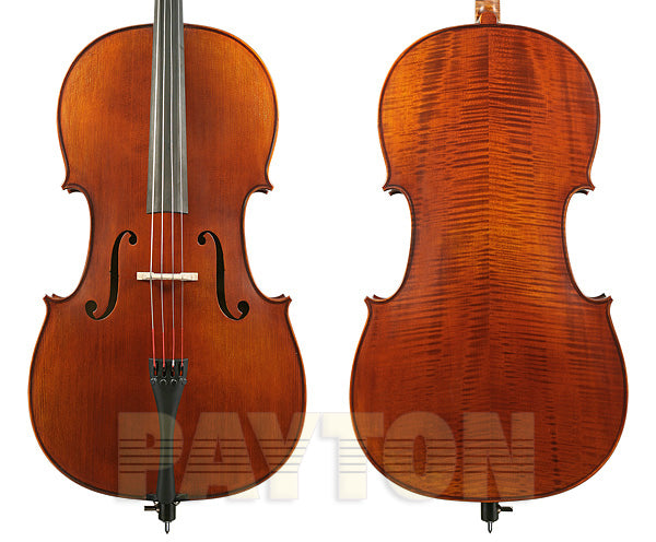 Gliga Vasile Gliga Advanced Cello Outfit - 4/4