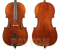 Gliga Vasile Gliga Advanced Cello Outfit - 4/4