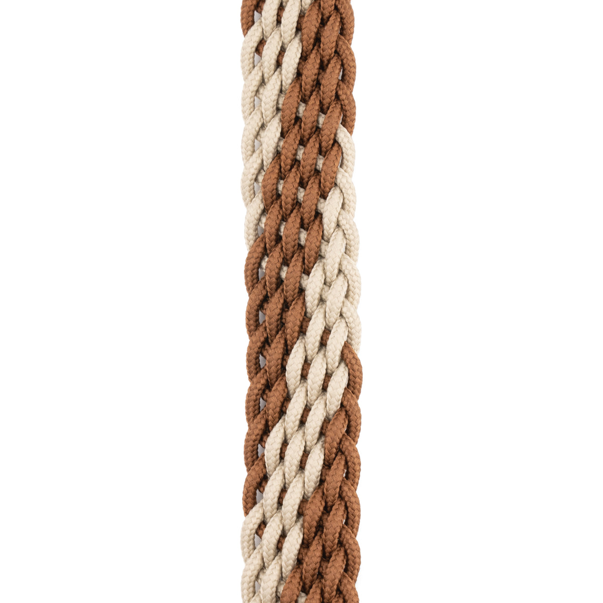 D'Addario 1