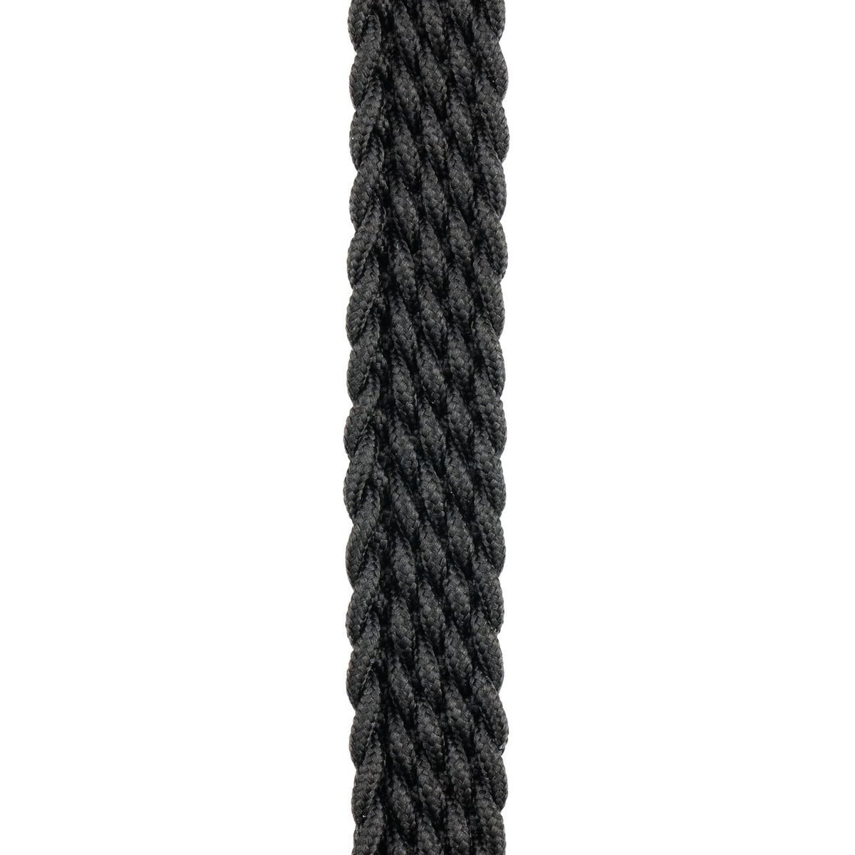 D'Addario 1