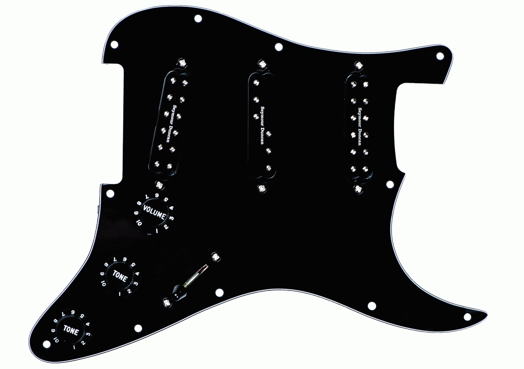 Seymour Duncan Pickgrd Assy Everything Axe Black