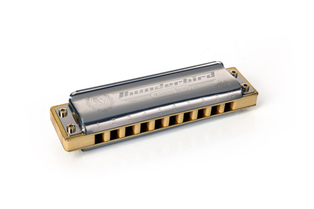 Hohner Thunderbird Harmonica Low Eb