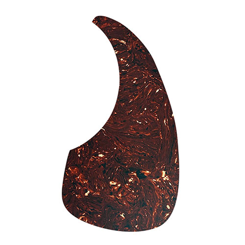 D'Andrea - Small Shell Pick Grd