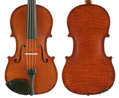 Gliga I Viola Outfit Standard Finish with Obligato - 15.5in