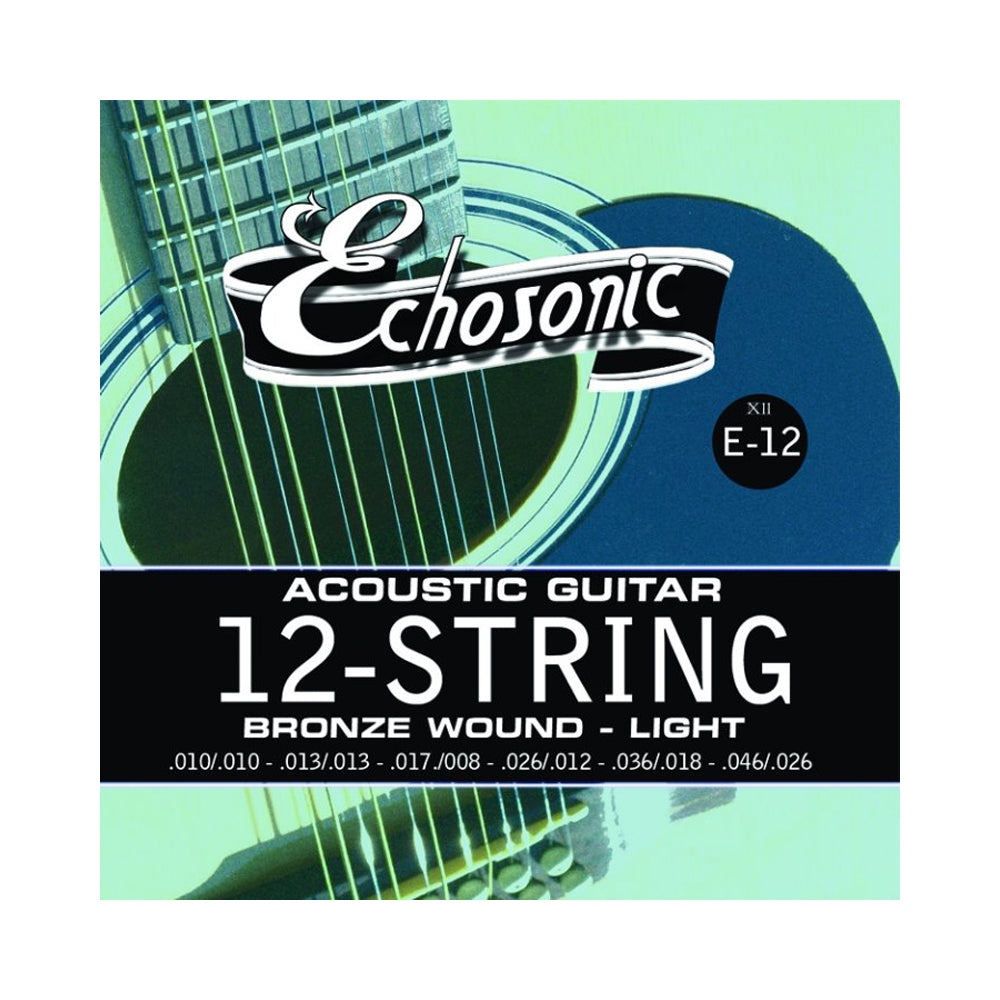 Echosonic 12-Str Acoustic  (10-46) E12