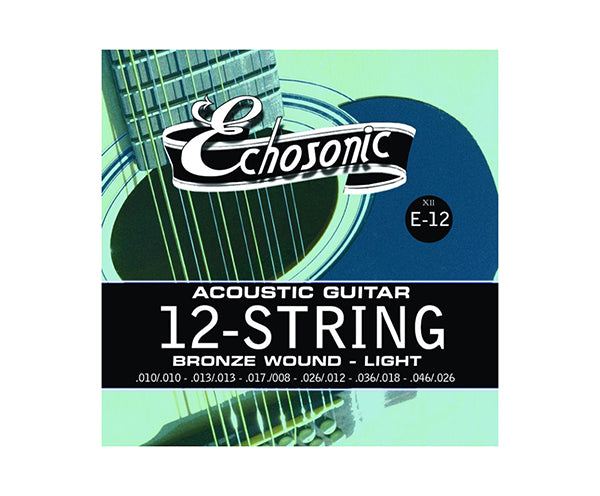 Echosonic 12-Str Acoustic  (10-46) E12