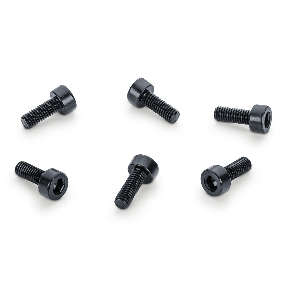 Schaller FR Saddle Mount Screws (Setof6)