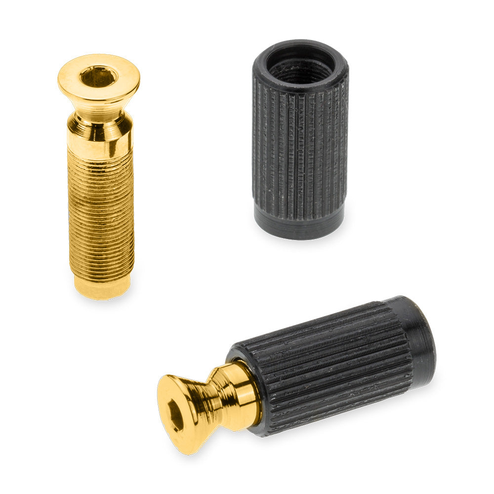Schaller FR Pivot Stud & Insert (Set 2) Gold-20100500