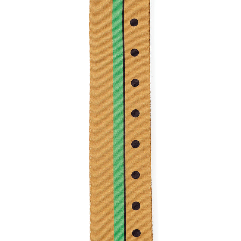 D'Addario Yellow Submarine 50th Anniversary Woven Guitar Strap, George