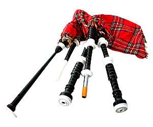 Bagpipes Set-Black Rosewood w/Plastic Mounts