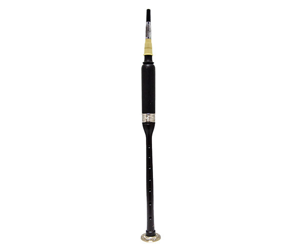 Bagpipe Practice Chanter-Blackwood w/Engraved mounts