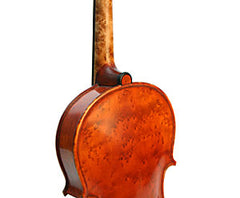 Gliga Vasile Violin Special Series: Birdseye