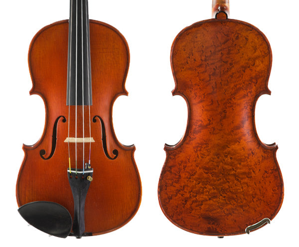 Gliga Vasile Violin Maestro Special: Birdseye