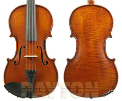 Gliga I Violin Outfit 1pc-Back Dark Antique w/Violino - 4/4