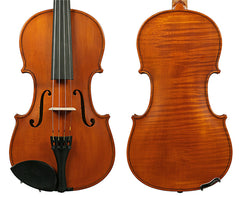 Gliga I Violin Outfit 1pc-Back Antique w/Violino - 4/4