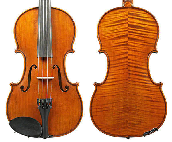 Gliga Vasile Violin Professional 5 Colour 4/4