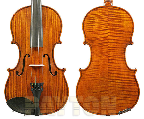 Gliga Vasile Violin Only-Italian Model 4/4