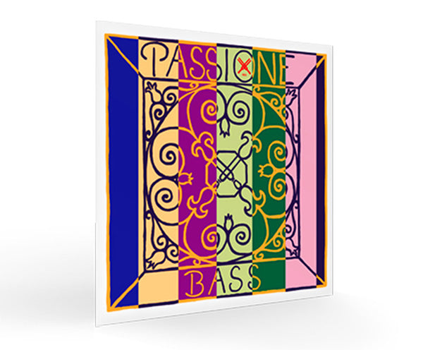 Pirastro Double Bass Passione Steel Core/Chrome D