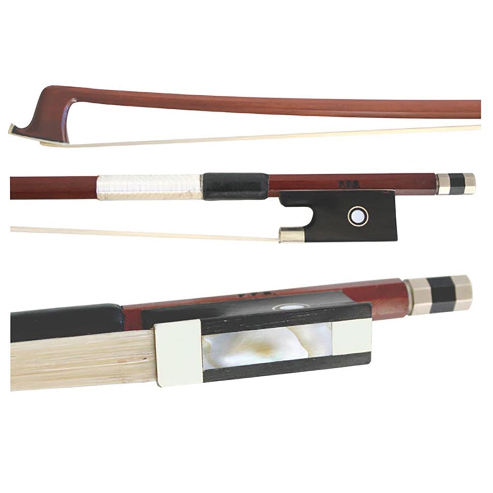 Raggetti RV2 Violin Outfit in Shaped Case – 1/2