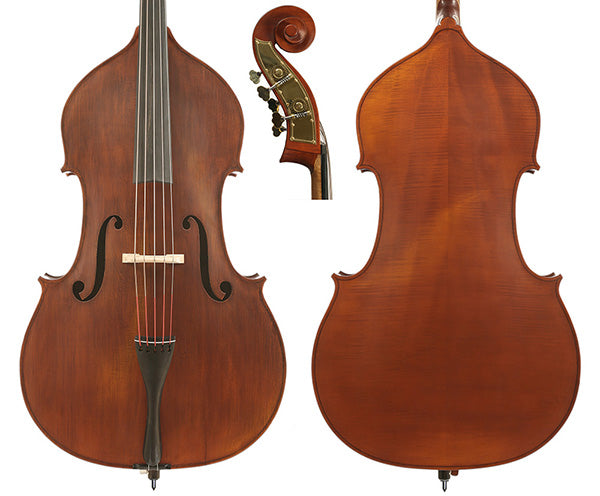 Gliga I Bass Only-Swell-Back 5-String