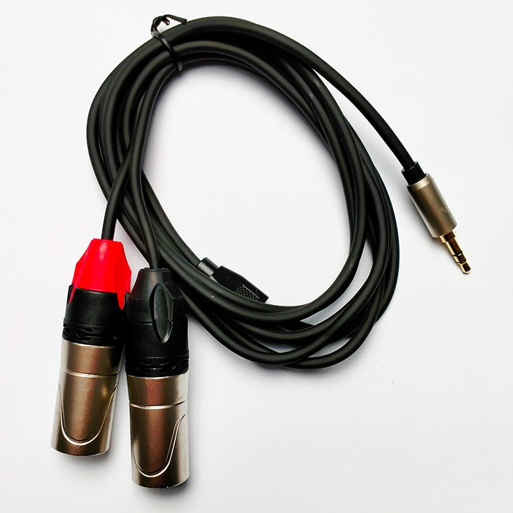 Leem 10ft Audio Cable (3.5mm Stereo Plug - 2 x XLR Male)