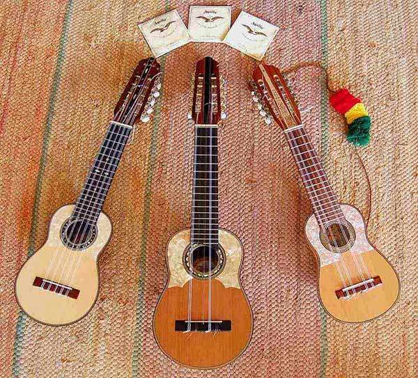 Aquila New Nylgut 10-String Medium Tension Charango String Set