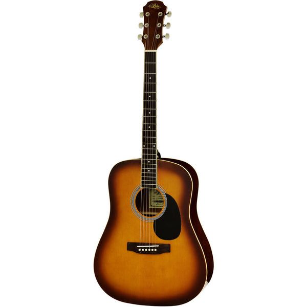 Aria Acoustic Guitars | roycemusic