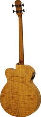 Aria FEB-F2/FL Elecord Series Fretless AC/EL Bass Guitar in Stained Brown