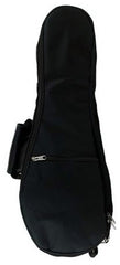 Aria AU-Series Tenor Ukulele Starter Package Includes Uke, Clip-on Tuner, Gig Bag & Book with CD/DVD