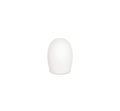Ahead Wood-Like Tip Zytel (Ea) 5AT