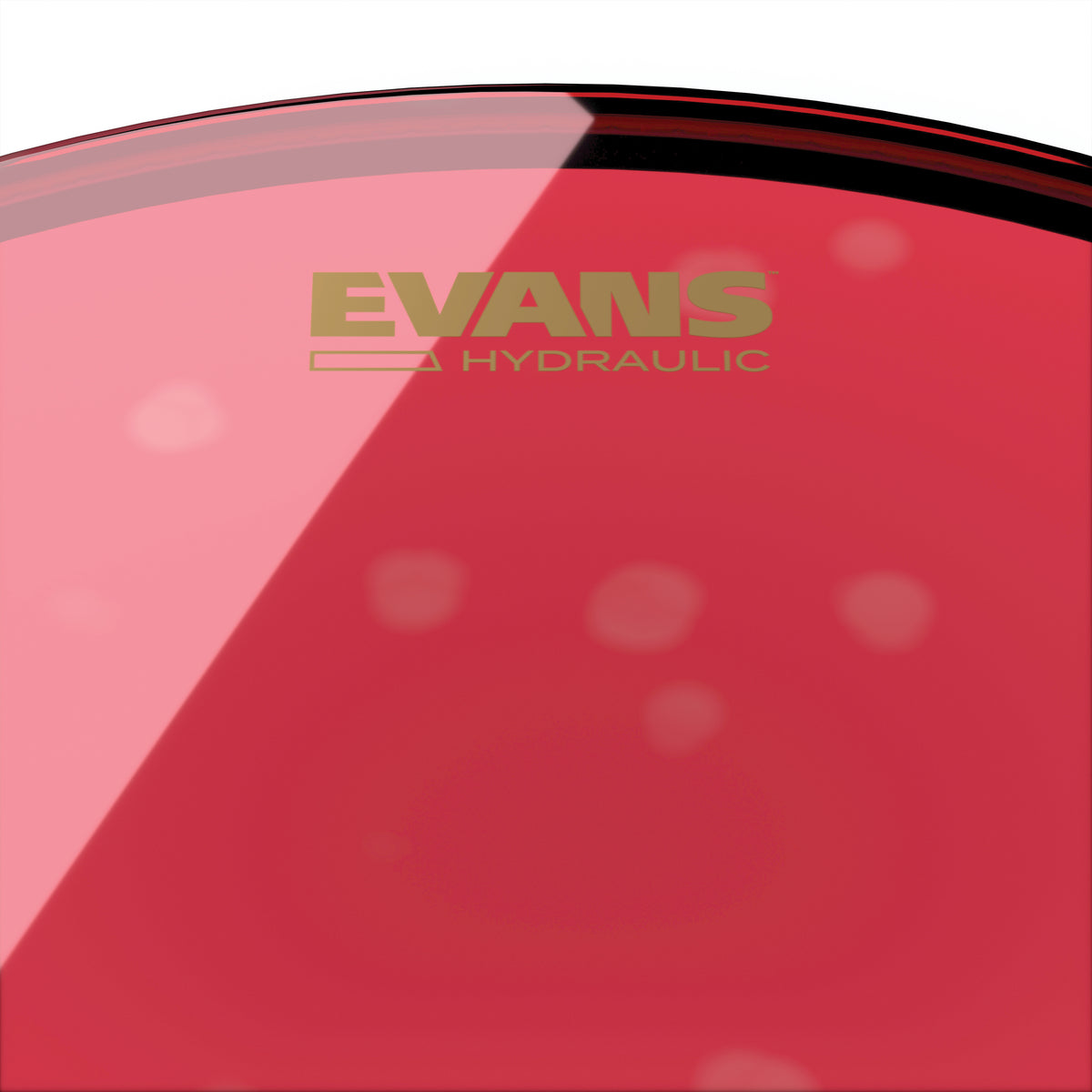 EVANS Hydraulic Red Bass Drum Head, 22 Inch