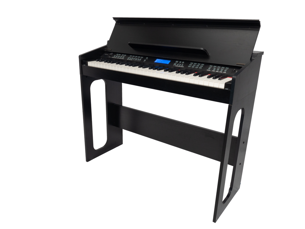 Crown CJDP 61-Key Touch Responsive Digital Piano (Black)