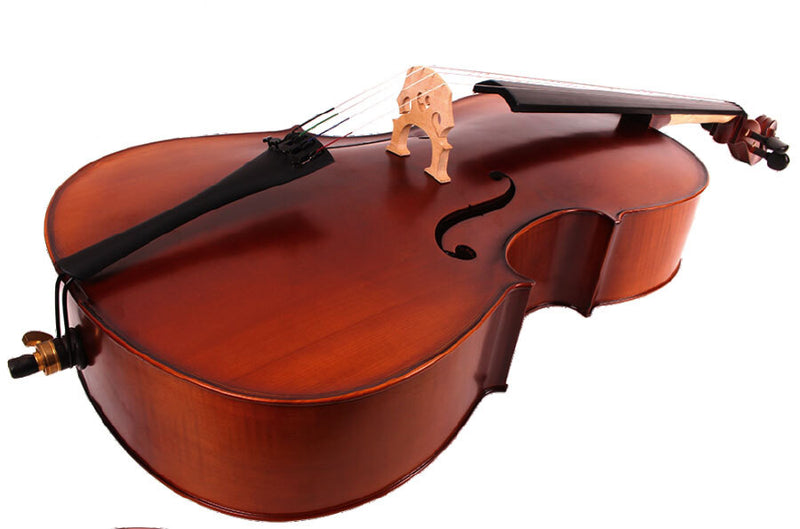 Ernst Keller CB295E Series 3/4 Size Cello Outfit in Antique Semi-Matte Finish