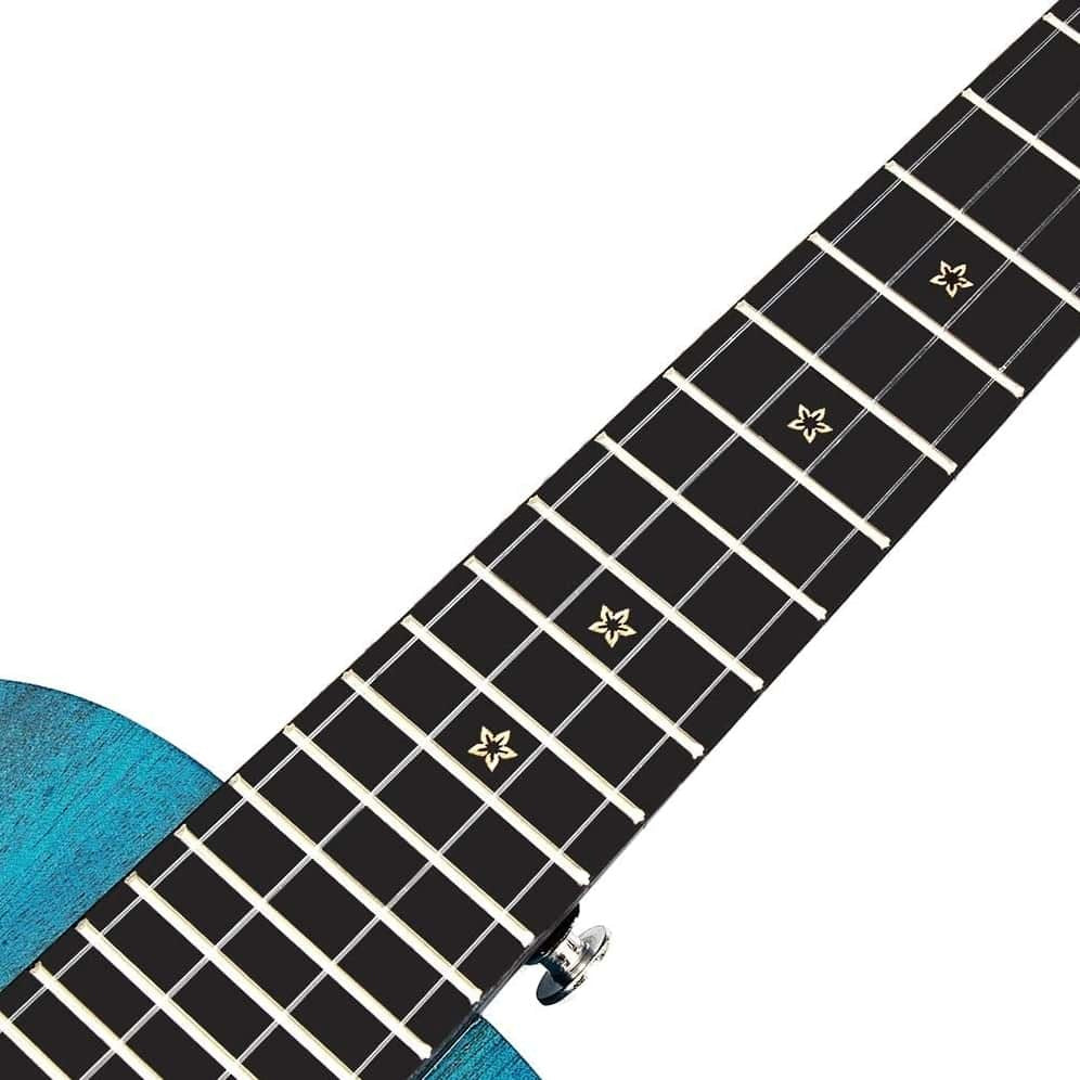 Enya 25D Solid Mahogany Concert Ukulele - Blue