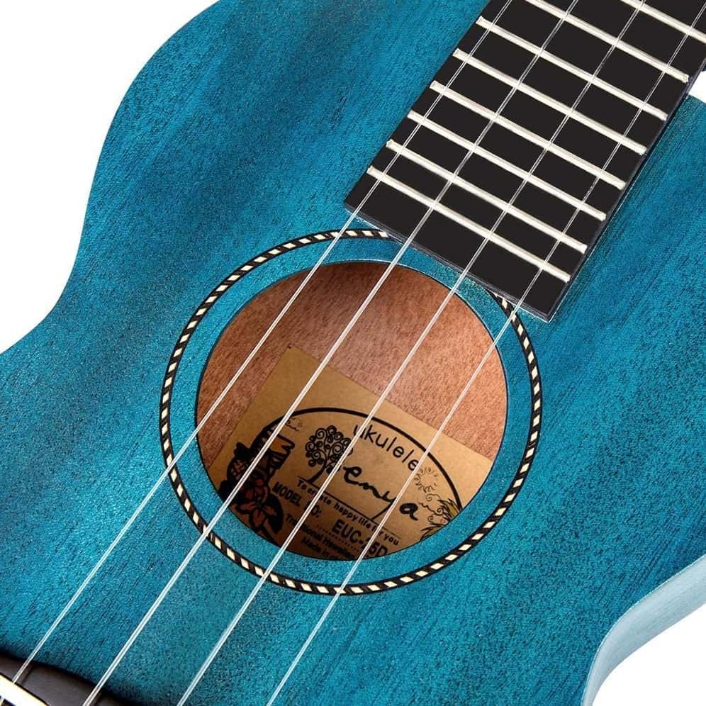 Enya 25D Solid Mahogany Concert Ukulele - Blue