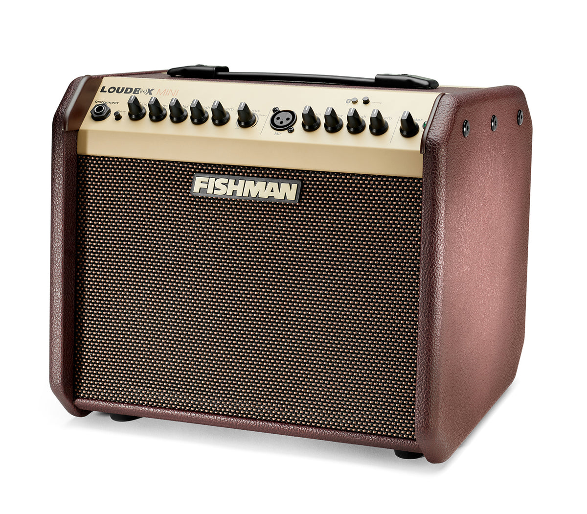 Fishman LOUDBOX MINI WITH BLUETOOTH