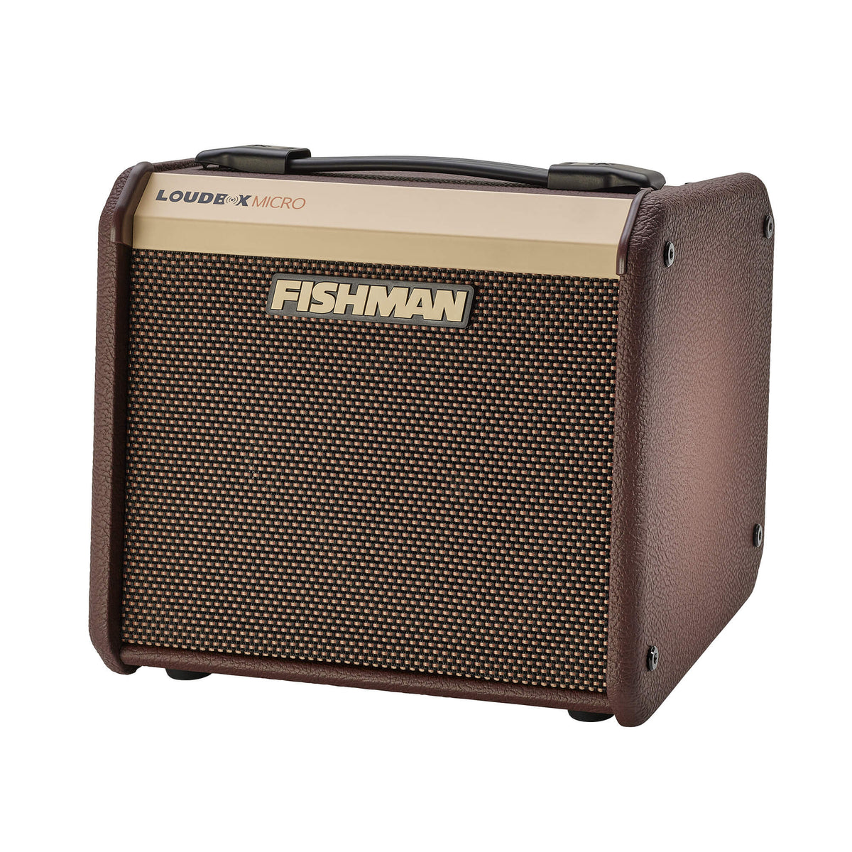 Fishman LOUDBOX MICRO 40W
