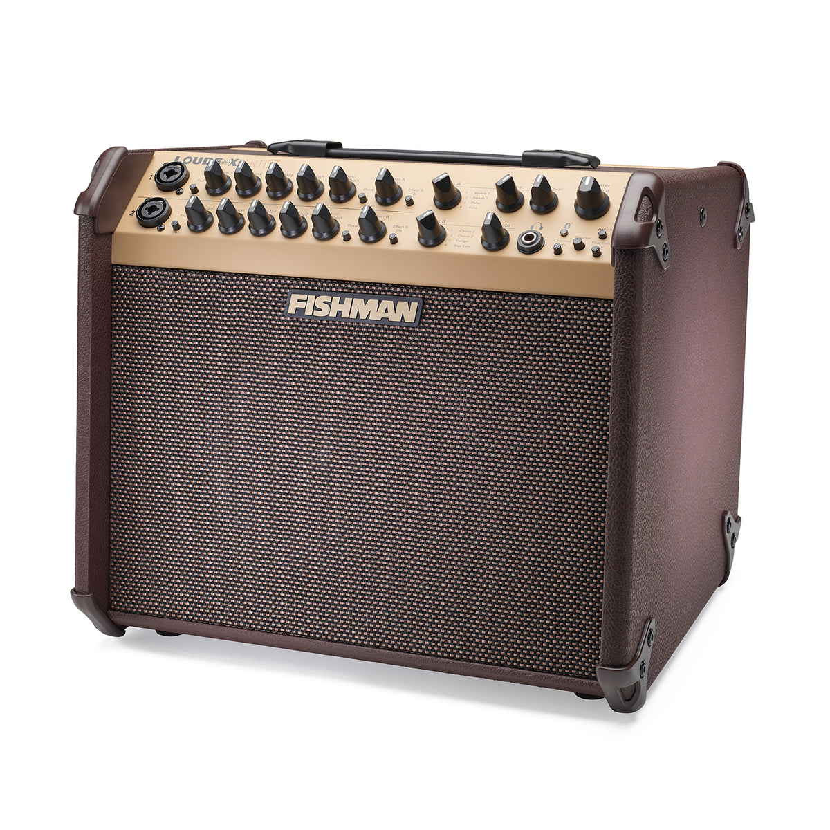 Fishman LOUDBOX ARTIST w/BLUETOOTH