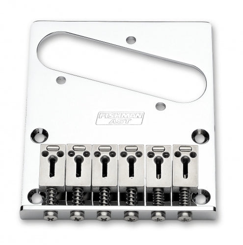Fishman POWERBRIDGE AST