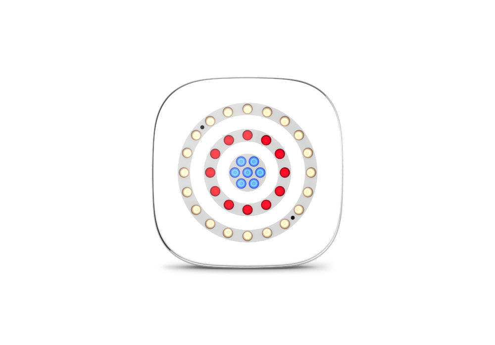 Chauvet DJ Freedom Centrepiece Wireless LED Light