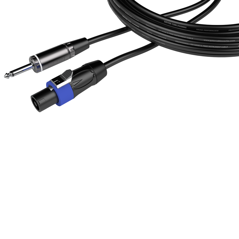 3 Foot TS to Twist Lock Connector Speaker Cable