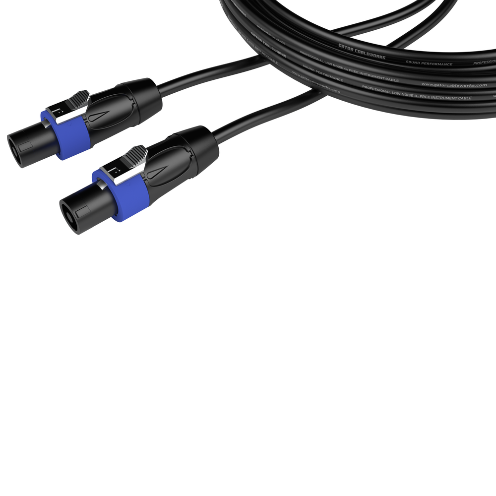 3 Foot Twist Lock Connector Speaker Cable