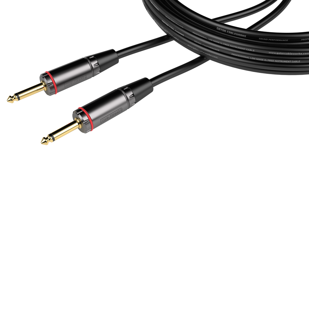 6 Foot TS Speaker Cable