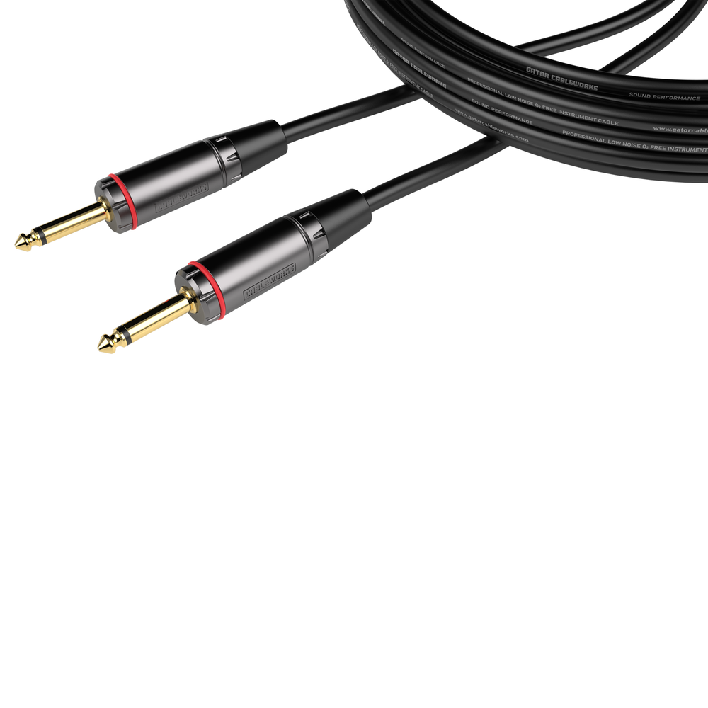 10 Foot TS Speaker Cable