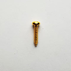 GT Wood Screws with Round Head in Gold Finish - 1.75mm x 10mm (Pk-50)