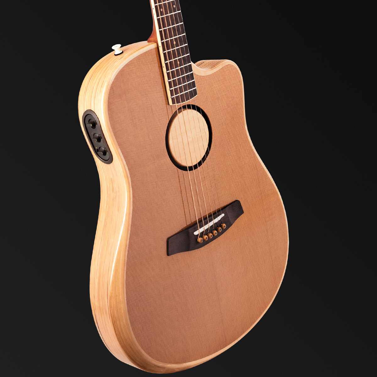 Baggs AEG-1 High-performance Acoustic Electric Guitar Torrefied Sitka Spruce [LRBAEG-1-TOR]